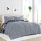 Reversible Daisy Medallion Striped Comforter Set Down Filled Microfiber with Pillow Shams